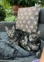 Sally und Sam